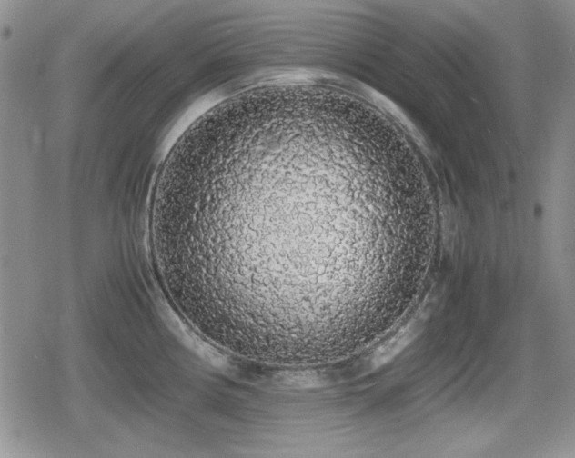 X0000080731194200612151216