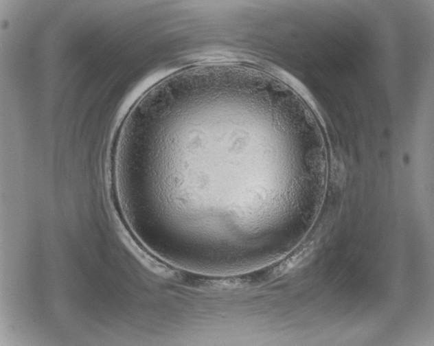 X0000080731195200612151216