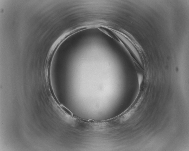 X0000080731196200612151216