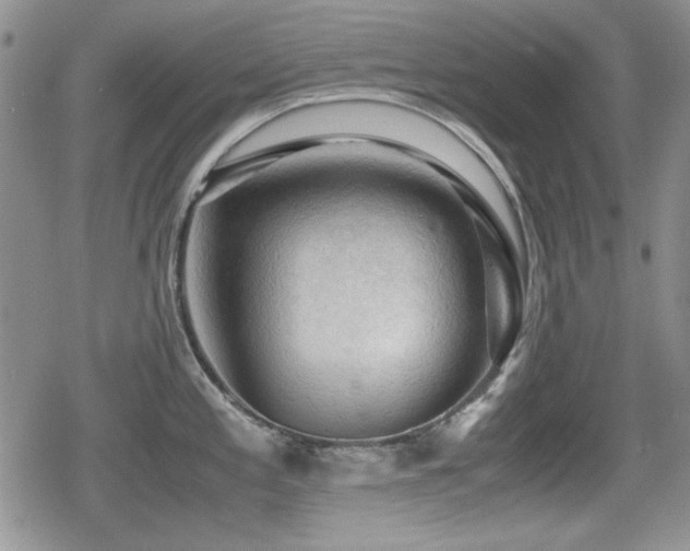 X0000080731197200612151216