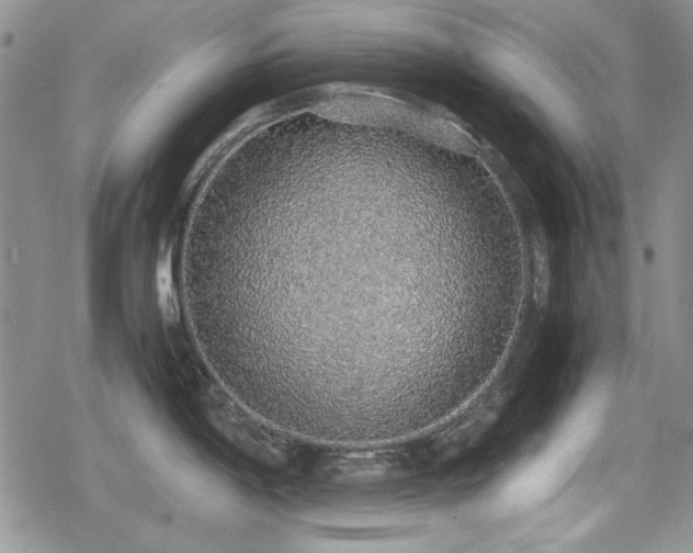 X0000080731198200612151216