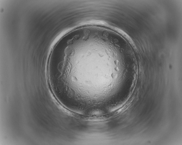 X0000080731199200612151216