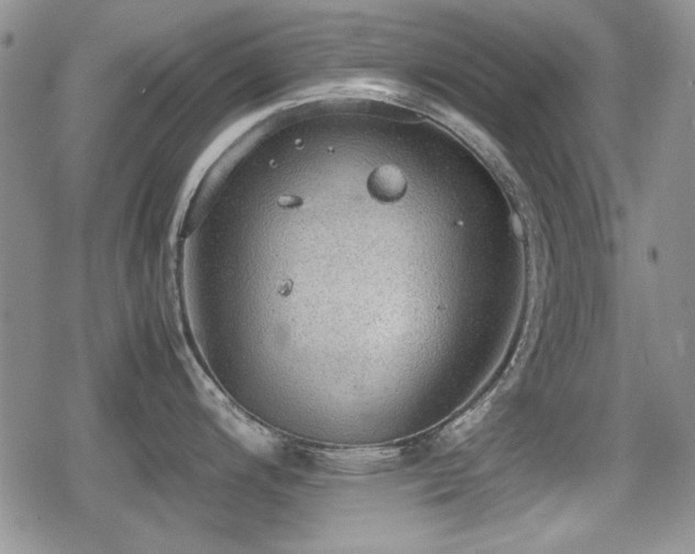 X0000080731200200612151216