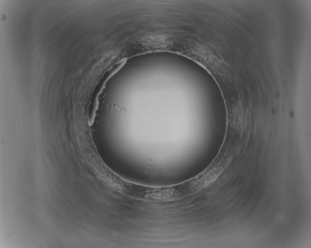 X0000080731201200612151215