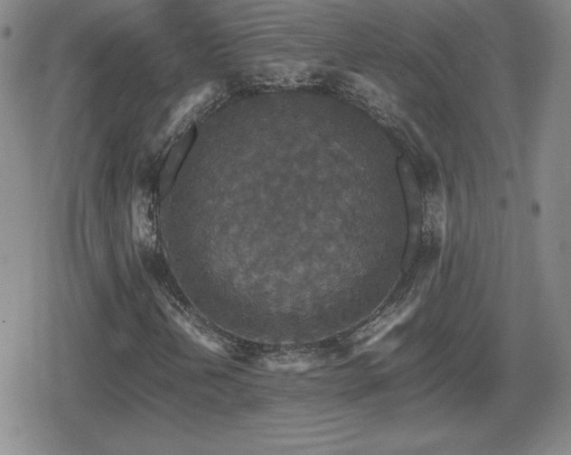 X0000080731202200612151215