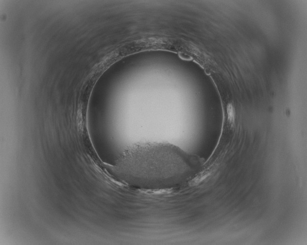 X0000080731203200612151215