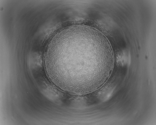 X0000080731204200612151215