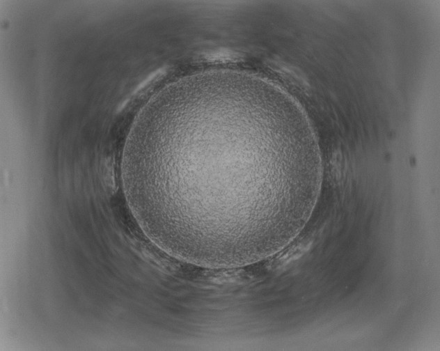 X0000080731205200612151215