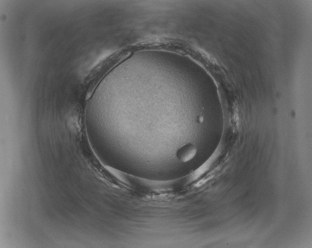 X0000080731206200612151215