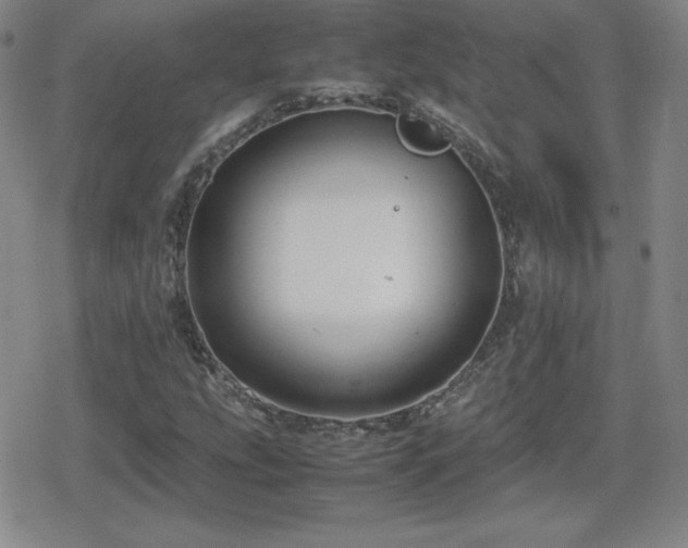 X0000080731207200612151215