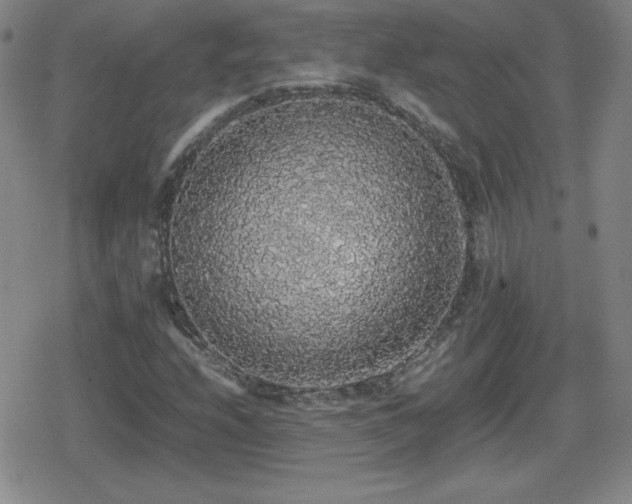 X0000080731208200612151215