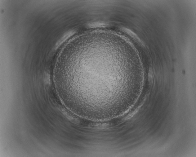 X0000080731209200612151215