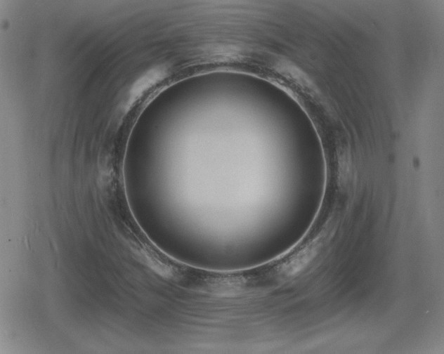 X0000080731210200612151215