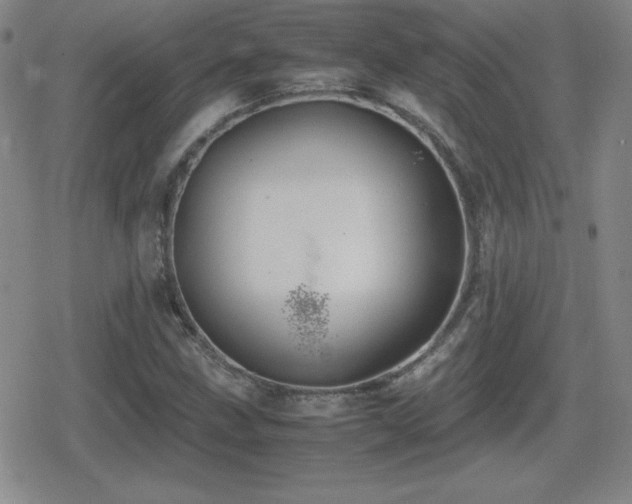 X0000080731211200612151215