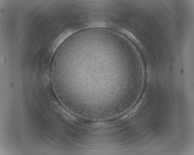 X0000080731212200612151215