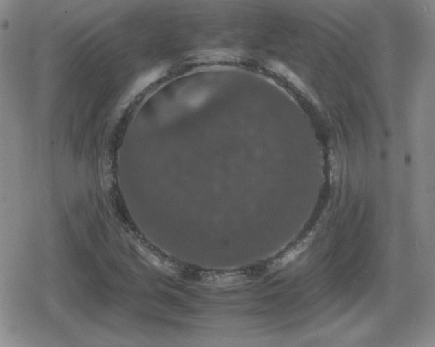 X0000080731213200612151215