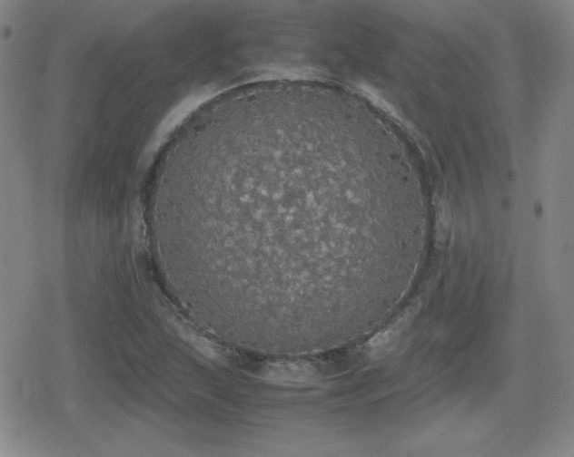 X0000080731215200612151215