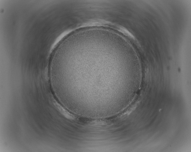 X0000080731216200612151215