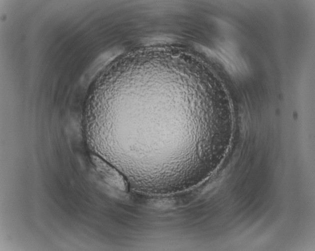 X0000080731217200612151215