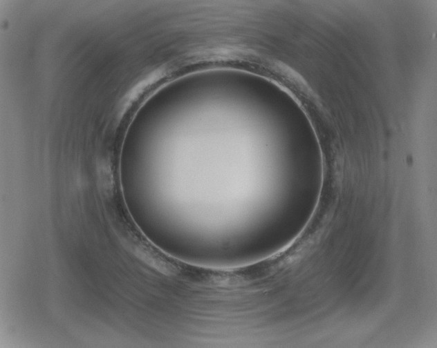 X0000080731218200612151216