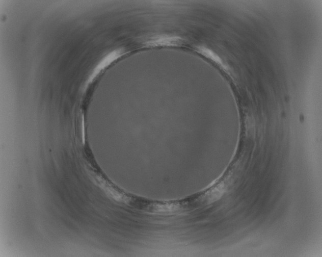 X0000080731219200612151216