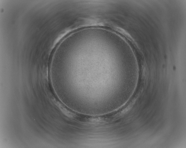 X0000080731220200612151216