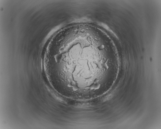 X0000080731221200612151216