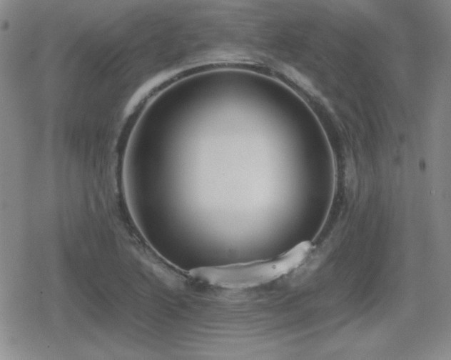 X0000080731222200612151216