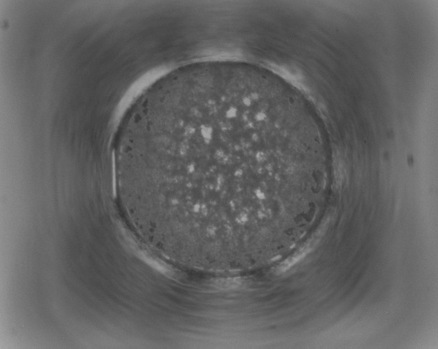 X0000080731223200612151216