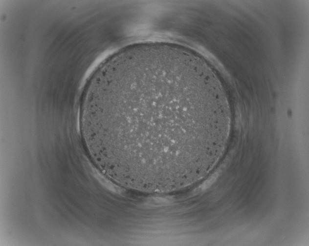 X0000080731224200612151216