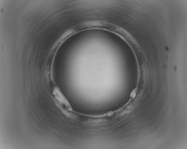 X0000080731225200612151216