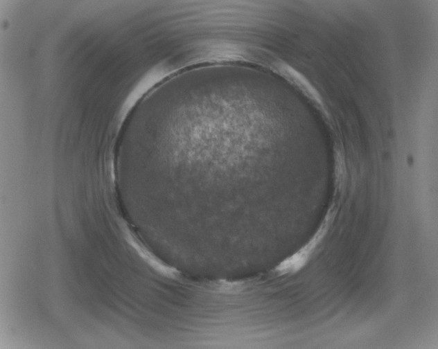 X0000080731226200612151216