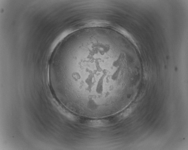 X0000080731227200612151216