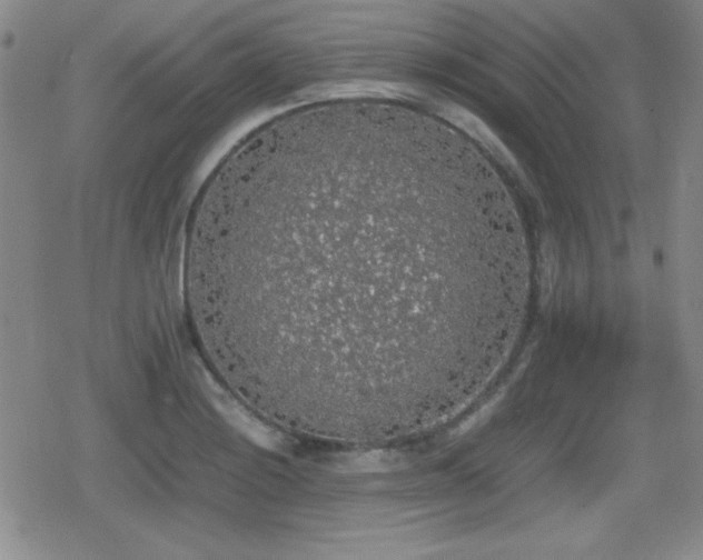 X0000080731228200612151216