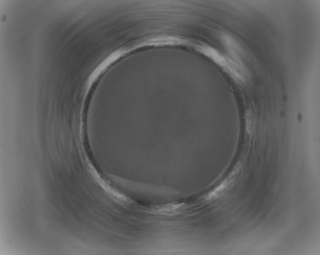 X0000080731229200612151216