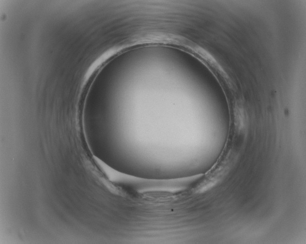 X0000080731230200612151216