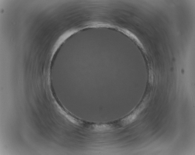 X0000080731231200612151216