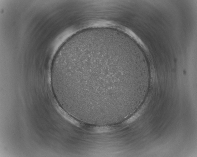 X0000080731232200612151216