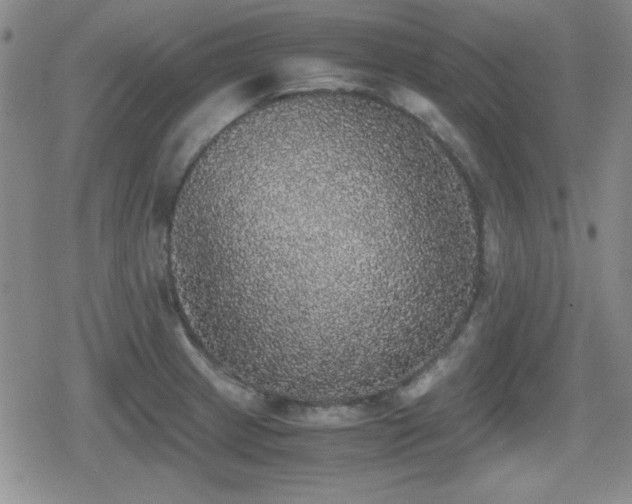 X0000080731233200612151216