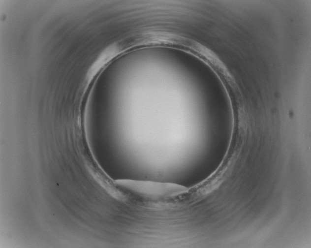 X0000080731234200612151216