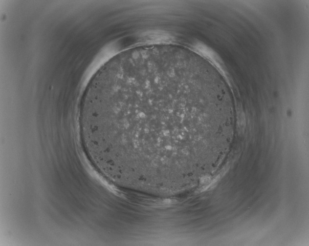 X0000080731235200612151216