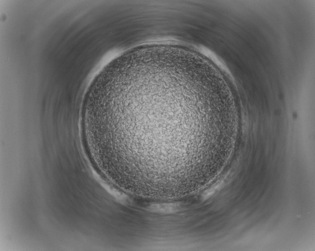 X0000080731237200612151216