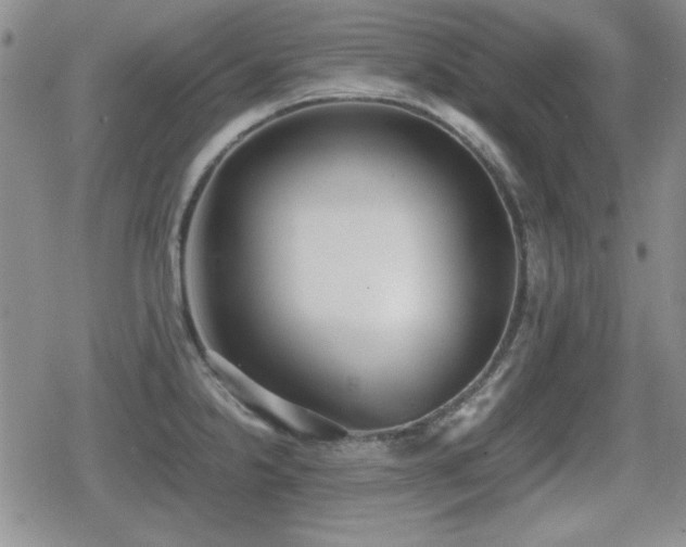 X0000080731238200612151216