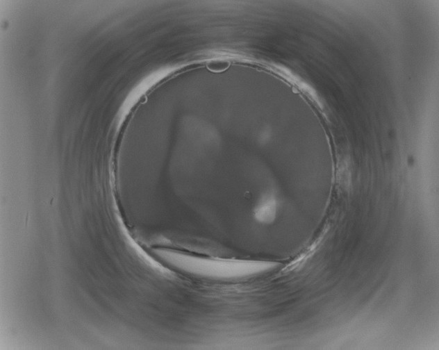 X0000080731239200612151216