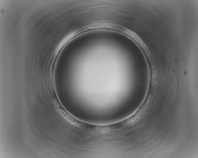 X0000080731242200612151216