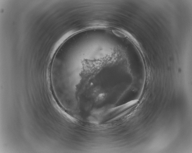 X0000080731243200612151216