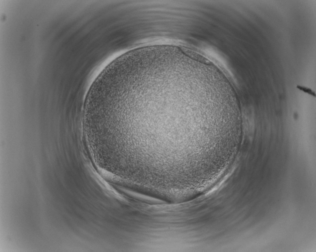 X0000080731244200612151216