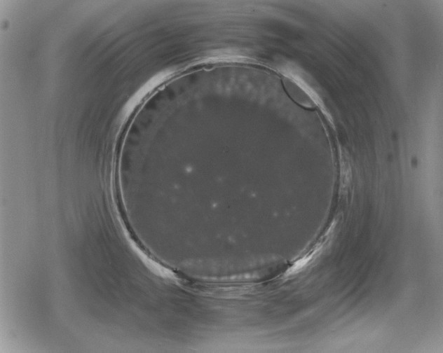 X0000080731245200612151216