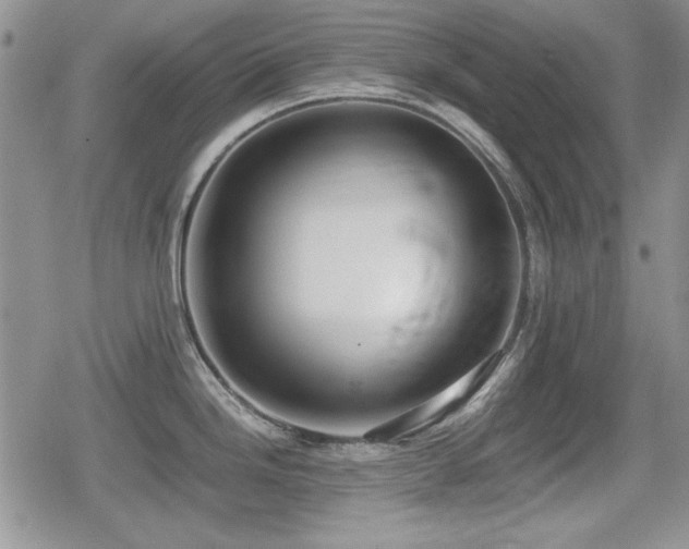 X0000080731246200612151216