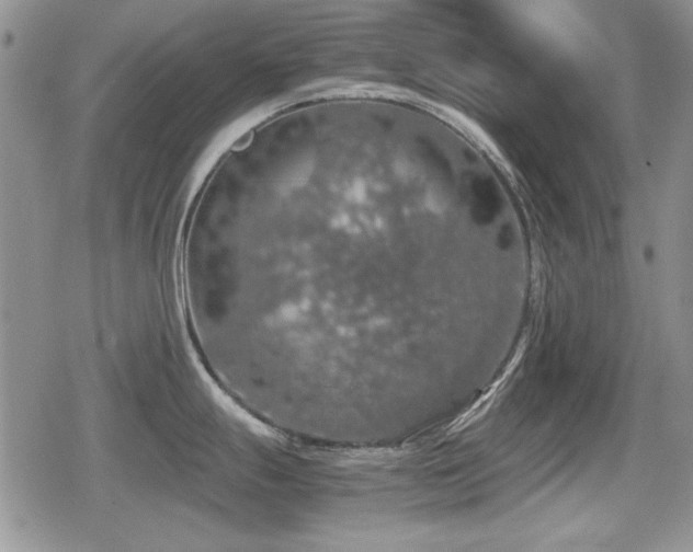 X0000080731247200612151216